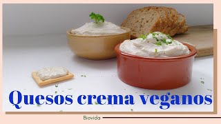 Cómo hacer QUESO CREMA TIPO PHILADELPHIA VEGANO2 recetas [upl. by Kerstin]