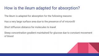 COTRANSPORT OF GLUCOSE IN THE ILEUM For AQA OCR and Edexcel A level Biology [upl. by Akilat]