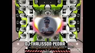 REGGAE REMIX 2024 DJ THALISSON PEDRA O COMANTANDE DOS PAREDÕES [upl. by Rexferd]