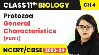 Protozoa General Characteristics Part 1  Animal Kingdom  Class 11 Biology Chapter 4 NCERTCBSE [upl. by Sale867]