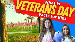 Why Do We Celebrate Veterans Day  Veterans Day Facts for Kids [upl. by Essenaj]