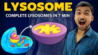 चाह कर नही भूल पाओगे  Lysosomes in Hindi [upl. by Kirbee550]