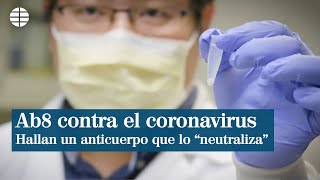 Científicos hallan un anticuerpo que quotneutralizaquot el coronavirus [upl. by Neelrihs]