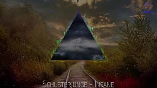 Schusterjunge  Insane  HARDTEKK  HD [upl. by Sukin]