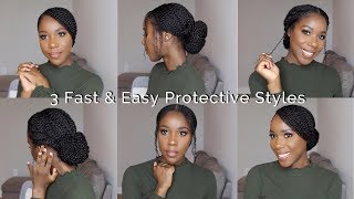 3 Fast amp Easy Protective Styles  Natural Hair  TheLifestyleLuxe [upl. by Xenos]