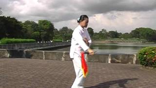 Traditional Yang Style Taiji Broadsword 13 Forms [upl. by Iaka]