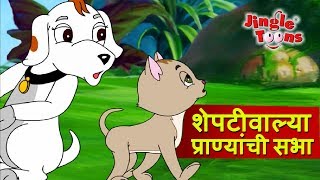 Sheptiwalya Pranyanchi Sabha  Sasa To Sasa ससा आणि कासव JingleToons Marathi Balgeet [upl. by Islek658]