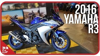 2016 Yamaha R3  First Ride [upl. by Hagen]