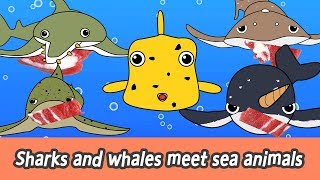 EN Sharks and whales meet sea animals lets enjoy together sea animals names for kidsㅣCoCosToy [upl. by Ayita312]