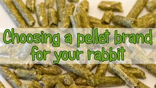 Choosing the Best Rabbit Pellet Brand [upl. by Ekralc]