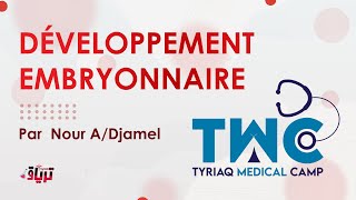 TMC DÉVELOPPEMENT EMBRYONNAIRE Par Nour ADjamel [upl. by Llennod24]