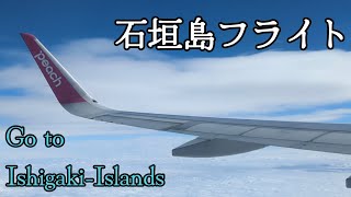 【石垣島ナウ】石垣島マラソンに向けて出発 I left for the Ishigaki Island Marathon [upl. by Carin]