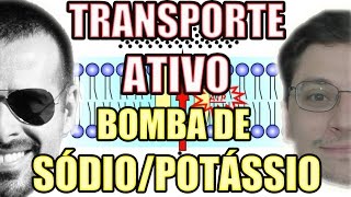 Transporte Ativo Bomba de Sódio Na e Potássio K  Biologia Celular  VideoAula 107 [upl. by Takashi331]