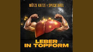 Leber in Topform [upl. by Genet]