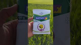 bayer nativo [upl. by Cutter766]