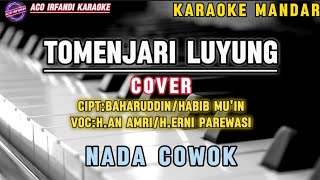 TOMENJARI LUYUNG  COVER KARAOKE  NADA COWOK [upl. by Panaggio]