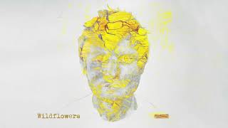 Ed Sheeran  Wildflowers Official Visualiser [upl. by Aratak]