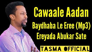 AWALE ADAN 2020 BAYDHABO LE EREE OFFICIAL SONG EDITED BY SAID TASMA [upl. by Neelrahs]