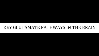 STAHLS  CH 4  PART 18  KEY GLUTAMATE PATHWAYS IN THE BRAIN psychiatrypharmacology [upl. by Nole]