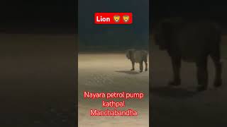 Lion Nayara petrol pump ⛽ kathpal manchabandha mayurbhanj lion petrol pump ⛽ 🦁🦁🦁🦁 [upl. by Ogires]