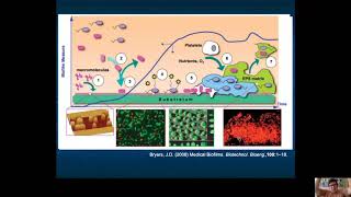 Biofilmes e Quorum Sensing parte 1 [upl. by Okiam]