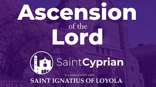 Mass for Ascension Thursday  Live [upl. by Atiz]