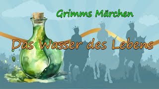 Grimms Märchen Das Wasser des Lebens [upl. by Chiquita637]