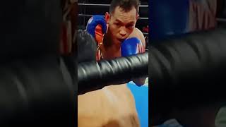 Donaire vs Oubaali [upl. by Talich240]