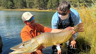 Colorados Most Epic Fishing Adventures [upl. by Gervais]