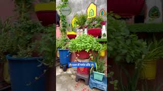 50₹ में अनोखा प्लांट स्टैंड 😱😱 homegardening plantstand gardeninglovers gardening [upl. by Isidor260]