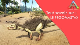 Tout savoir sur le PEGOMASTAX  Ark Survival Evolved [upl. by Ayekim]