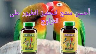 منتج فعال و مجرب لتحفيز الطيور على التزاوج  Nekton E  Nekton S [upl. by Broeder420]