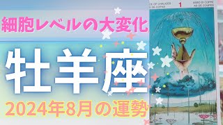 牡羊座♈️🐏8月の運勢⭐️ほーっと一息😚細胞レベルで変化します✨体の声をよーく聴いてくださいね⭐️ [upl. by Yrakaz317]