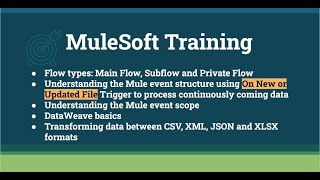 MuleSoft TrainingWeek4Class2 [upl. by Eddra675]