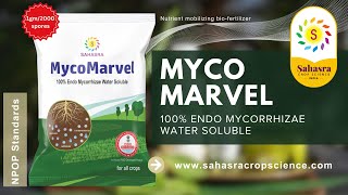 quotUnveil the power of nature with Myco Marvel Packed with 2000 spores per gram of potent mycorrhizae [upl. by Jeffcott]