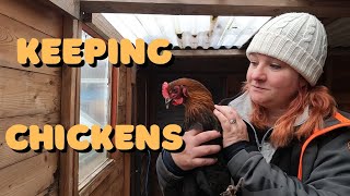 Starting A Chicken Flock On Our UK Allotment Coops And Run Keeping Chickens Safe [upl. by Mignonne486]