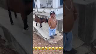 Amazing funny video🤣🤣trending youtubeshortsviralvideo funnyfunnyvideo facebook funny funny [upl. by Avaria]