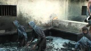 Indigo Dye Extraction [upl. by Anerehs437]