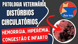 Hemorragia hiperemia congestão isquemia e infarto  Patologia geral  Medicina veterinária [upl. by Benson938]