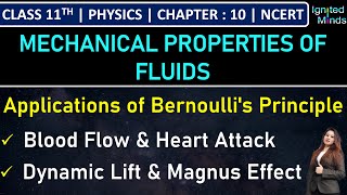 Class 11th Physics  Applications of Bernoullis Principle  Example 108  Chapter 10  NCERT [upl. by Yrem]