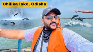 Chilika Lake tour Odisha Worth or Not   Asia’s Largest brackish water lagoon [upl. by Limemann]