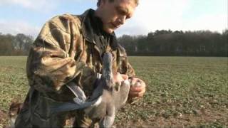 How to be a Pigeon Shooting Expert with James Marchington [upl. by Li]