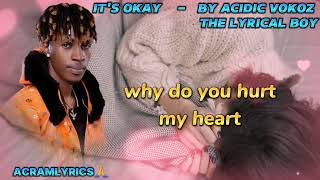 ITS OKAY  ACIDIC VOKOZ OFFICIAL VIDEO LYRICSLatest new ugandan music 2024 [upl. by Notsniw415]