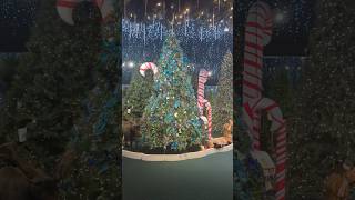 A Christmas Tree Extravaganza [upl. by Austin]