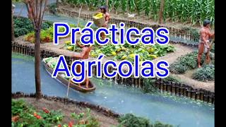 Prácticas agrícolas y Herbolaria en Mesoamérica  Historia [upl. by Sissie]