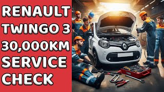 RENAULT TWINGO 3 2019 PROJECT  5 YEARS 30000KM TECHNICAL SERVICE [upl. by Acinorahs]