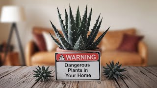 Dangerous Plants In Your Home [upl. by Alegnatal228]