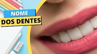 NOMES DOS DENTES APRENDA O NOME DE TODOS OS DENTES [upl. by Placido]