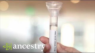 AncestryDNA  How to Submit Your AncestryDNA Sample  Ancestry [upl. by Irvin231]