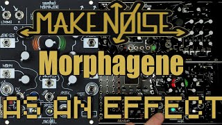 Make Noise Morphagene as an Effect Tutorial  Eurorack [upl. by Nnyltak]